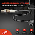 APOS0371C Upstream Downstream O2 Oxygen Sensor