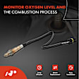 APOS0372 Downstream O2 Oxygen Sensor