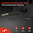 APOS0374C Downstream O2 Oxygen Sensor