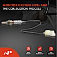 APOS0382 2x Upstream O2 Oxygen Sensor