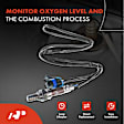 APOS0386 2x Downstream Left & Right O2 Oxygen Sensor