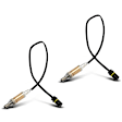APOS0389 2x O2 Oxygen Sensor