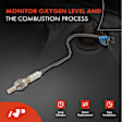 2-Pc Oxygen Sensor, Upstream & Downstream, 4-Pin, A-Premium APOS0398