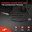 APOS0399 2x Downstream Front & Rear O2 Oxygen Sensor