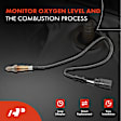 APOS0401 2x Downstream Left & Right O2 Oxygen Sensor