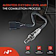 APOS0402 2x O2 Oxygen Sensor