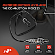 APOS0405 2x Upstream & Downstream O2 Oxygen Sensor