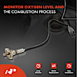 APOS0408 2x O2 Oxygen Sensor