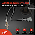 APOS0411 2x Downstream O2 Oxygen Sensor
