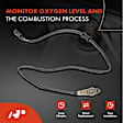 APOS0413 2x Upstream & Downstream O2 Oxygen Sensor