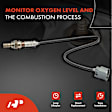 APOS0415 2x Upstream O2 Oxygen Sensor