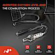 APOS0416 2x Upstream & Downstream O2 Oxygen Sensor
