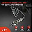 2-Pc Oxygen Sensor, Upstream & Downstream, A-Premium APOS0417