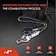 APOS0419 2x O2 Oxygen Sensor