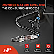APOS0420 2x Upstream & Downstream O2 Oxygen Sensor