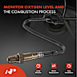 APOS0431 Upstream O2 Oxygen Sensor