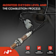 APOS0432 Upstream O2 Oxygen Sensor