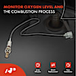 APOS0433 2x Upstream & Downstream O2 Oxygen Sensor