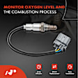 APOS0434C Upstream O2 Oxygen Sensor