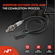 APOS0437C Upstream O2 Oxygen Sensor