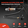 APOS0438C Upstream O2 Oxygen Sensor