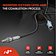4-Pc Oxygen Sensor, Upstream & Downstream, 4-Pin, A-Premium APOS0442