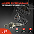 APOS0449 2 Pcs Upstream & Downstream O2 Oxygen Sensor