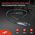 APOS0451C Upstream O2 Oxygen Sensor