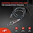 APOS0452 Upstream Downstream O2 Oxygen Sensor