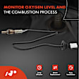 APOS0455 Upstream Downstream O2 Oxygen Sensor