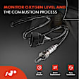APOS0456 Upstream Downstream O2 Oxygen Sensor