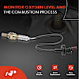 APOS0464 Upstream O2 Oxygen Sensor