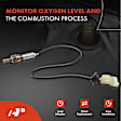 APOS0465 Downstream O2 Oxygen Sensor