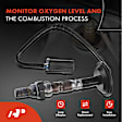 APOS0473 Downstream O2 Oxygen Sensor