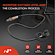 APOS0476 Upstream Downstream O2 Oxygen Sensor