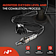 APOS0485 Upstream Downstream O2 Oxygen Sensor
