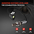 APOS0495 Upstream O2 Oxygen Sensor