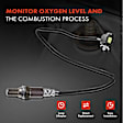 APOS0496 Upstream O2 Oxygen Sensor