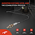 APOS0500 Upstream O2 Oxygen Sensor