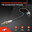 APOS0510 Upstream O2 Oxygen Sensor
