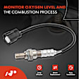 APOS0514 Downstream O2 Oxygen Sensor
