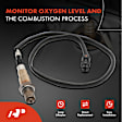 APOS0515 O2 Oxygen Sensor