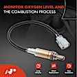 APOS0518 Downstream O2 Oxygen Sensor