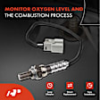 APOS0520 Upstream Downstream O2 Oxygen Sensor