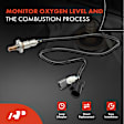 APOS0524 Upstream O2 Oxygen Sensor