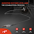 APOS0526 Upstream O2 Oxygen Sensor