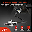 APOS0528 Upstream O2 Oxygen Sensor