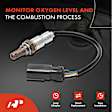 APOS0529 O2 Oxygen Sensor
