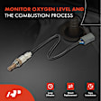 APOS0533 Upstream O2 Oxygen Sensor