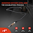 APOS0536 Upstream O2 Oxygen Sensor